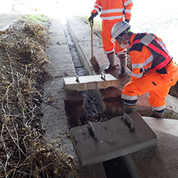 排水溝清掃